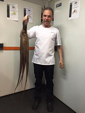 Pulpo manuel Alonso. Subasta de Gandia