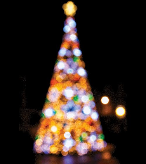 Felices fiestas de parte del equipo de casa manolo